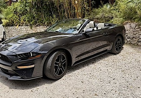 CABRIO HUREN CURACAO